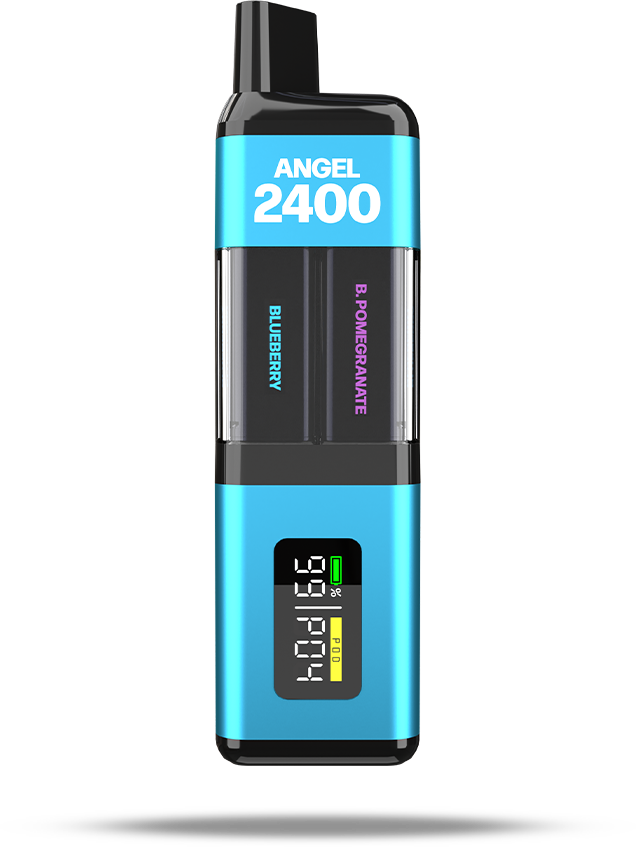 Angel 2400